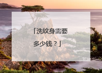 洗纹身需要多少钱？