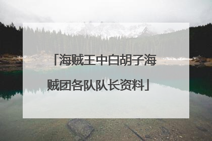 海贼王中白胡子海贼团各队队长资料