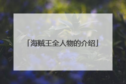 海贼王全人物的介绍