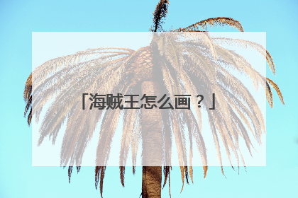 海贼王怎么画？