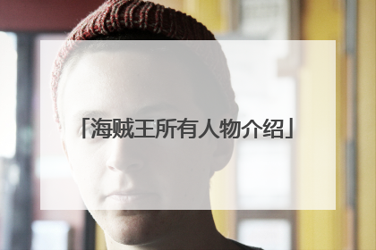 海贼王所有人物介绍