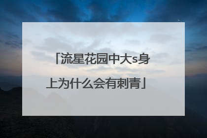 流星花园中大s身上为什么会有刺青