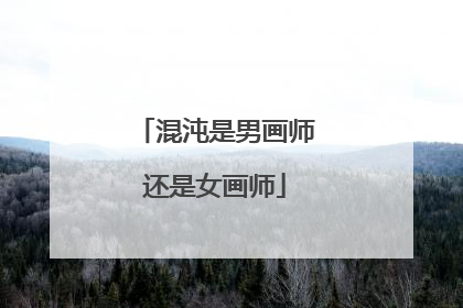 混沌是男画师还是女画师