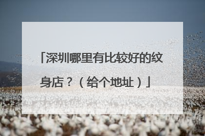 深圳哪里有比较好的纹身店？（给个地址）