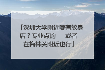 深圳大学附近哪有纹身店？专业点的   或者在梅林关附近也行