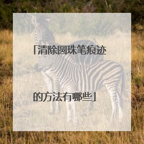 清除圆珠笔痕迹的方法有哪些