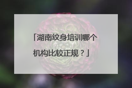 湖南纹身培训哪个机构比较正规?