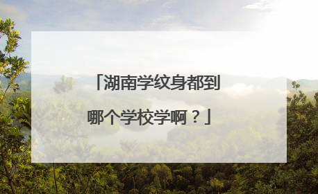 湖南学纹身都到哪个学校学啊？