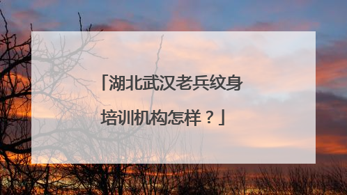 湖北武汉老兵纹身培训机构怎样？
