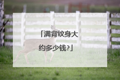 满背纹身大约多少钱?