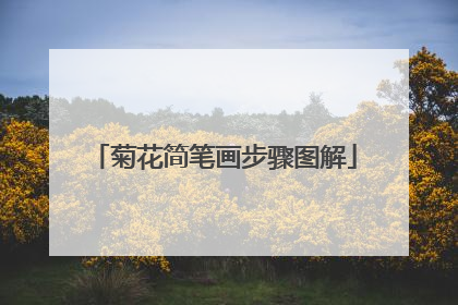 菊花简笔画步骤图解