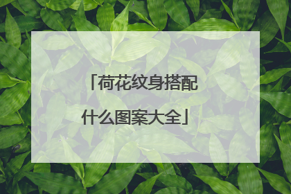 荷花纹身搭配什么图案大全