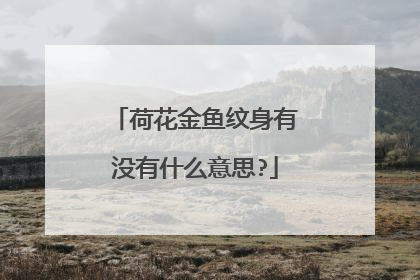 荷花金鱼纹身有没有什么意思?