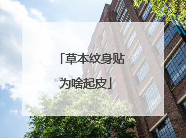 草本纹身贴为啥起皮