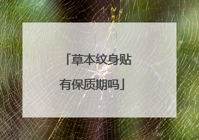 草本纹身贴有保质期吗