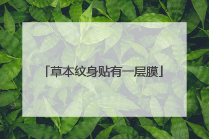 草本纹身贴有一层膜