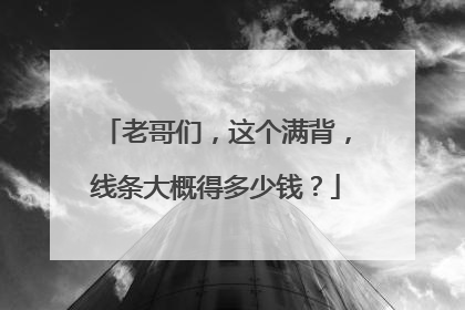 老哥们，这个满背，线条大概得多少钱？