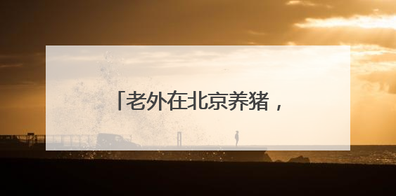老外在北京养猪，给活猪纹身、长大后剥皮卖100万一张，这叫艺术吗？