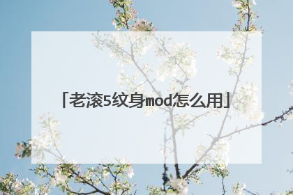 老滚5纹身mod怎么用