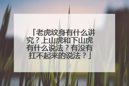 老虎纹身有什么讲究？上山虎和下山虎有什么说法？有没有扛不起来的说法？