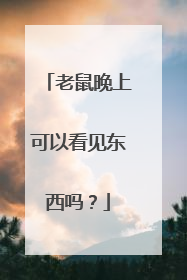 老鼠晚上可以看见东西吗？