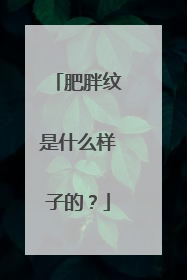 肥胖纹是什么样子的？