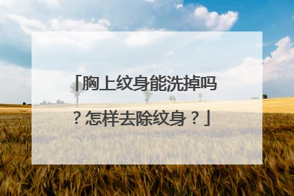 胸上纹身能洗掉吗？怎样去除纹身？