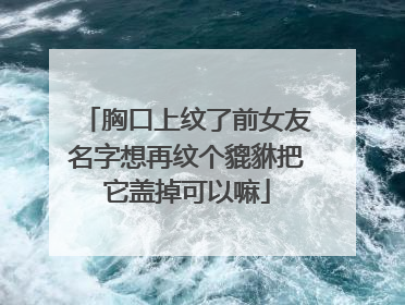 胸口上纹了前女友名字想再纹个貔貅把它盖掉可以嘛