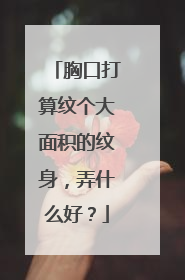 胸口打算纹个大面积的纹身,弄什么好?