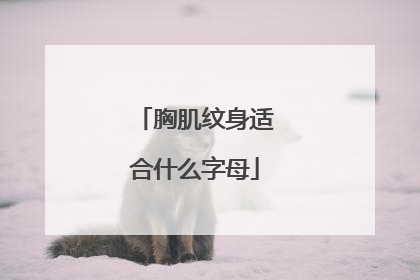 胸肌纹身适合什么字母