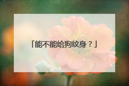 能不能给狗纹身？