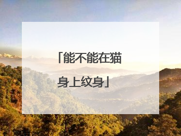 能不能在猫身上纹身