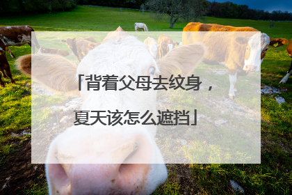 背着父母去纹身，夏天该怎么遮挡