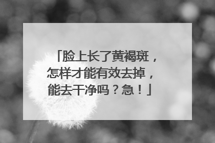 脸上长了黄褐斑，怎样才能有效去掉，能去干净吗？急！