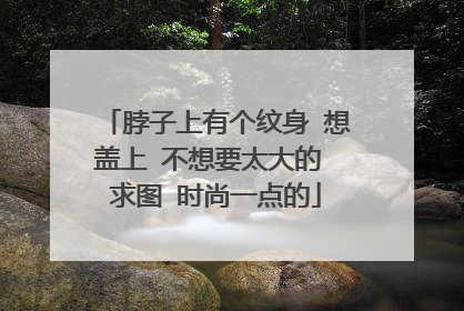 脖子上有个纹身 想盖上 不想要太大的 求图 时尚一点的