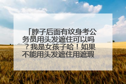 脖子后面有纹身考公务员用头发遮住可以吗？我是女孩子哈！如果不能用头发遮住用遮瑕膏遮ok不？我不想