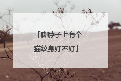 脚脖子上有个猫纹身好不好