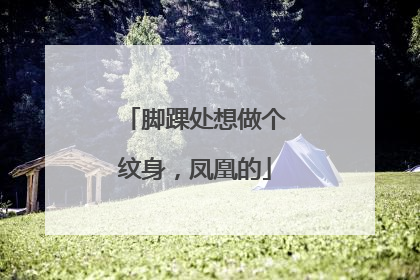 脚踝处想做个纹身，凤凰的