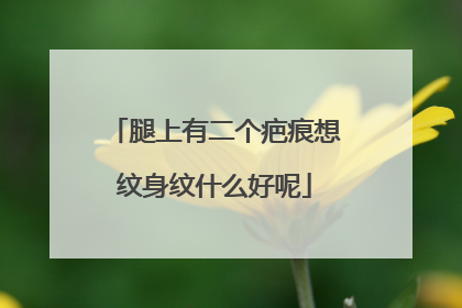 腿上有二个疤痕想纹身纹什么好呢