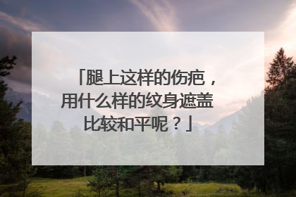 腿上这样的伤疤，用什么样的纹身遮盖比较和平呢？