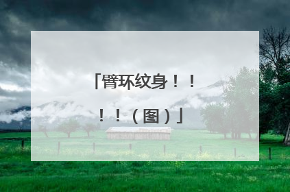 臂环纹身！！！！（图）