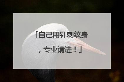 自己用针刺纹身，专业请进！