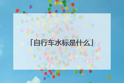 自行车水标是什么