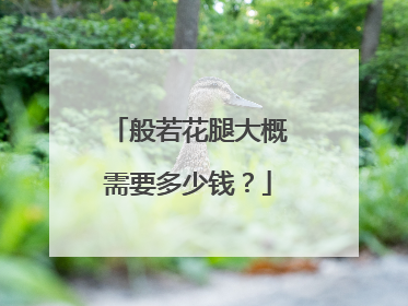 般若花腿大概需要多少钱？