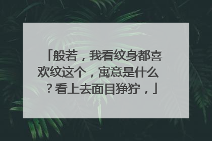 般若，我看纹身都喜欢纹这个，寓意是什么？看上去面目狰狞，