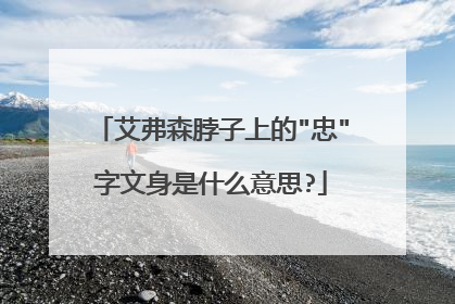 艾弗森脖子上的