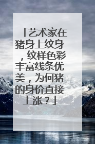 艺术家在猪身上纹身，纹样色彩丰富线条优美，为何猪的身价直接上涨？