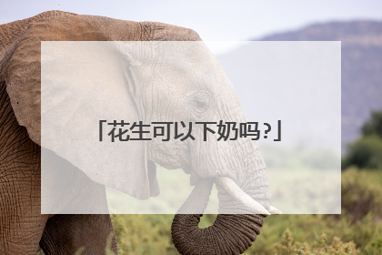 花生可以下奶吗?