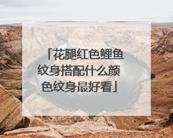 花腿红色鲤鱼纹身搭配什么颜色纹身最好看