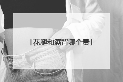 花腿和满背哪个贵